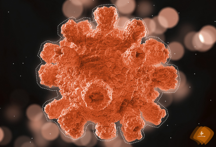 علائم، راههای پیشگیری و درمان ویروس کرونا